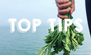Top 10 tips for business sustainability