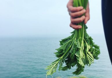 Top Tips to operating more sustainably