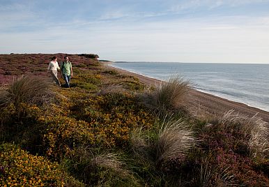 What do walkers want from the coast?