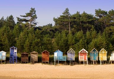 Shore Potential: Connecting the past with the future