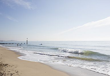 Metrics or Memories?