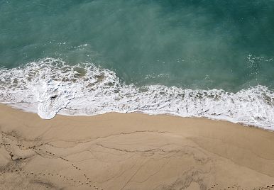 Outlook is sunny for the coast!