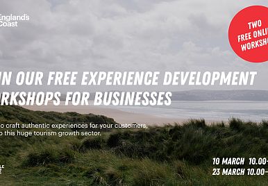 Join our FREE Experience workshops for tourism businesses!