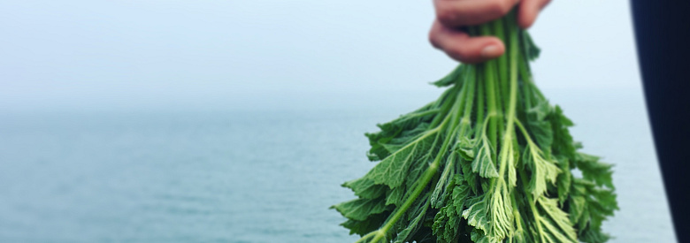 Top Tips to operating more sustainably