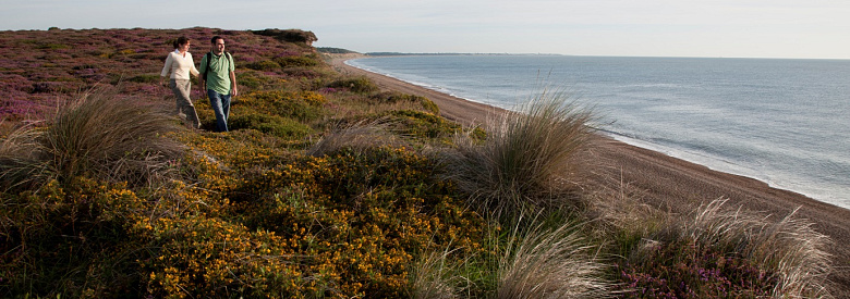 What do walkers want from the coast?