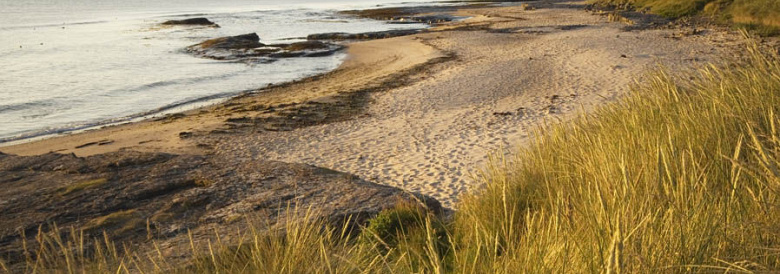 Media to drive Bank Holiday surge to the coast?