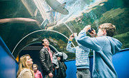 Familiarisation visits: Attractions Passport