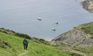 How to attract more: Walking visitors